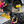 Detail Like A Pro Bundle