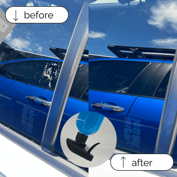 GlassCleaner2LBottle