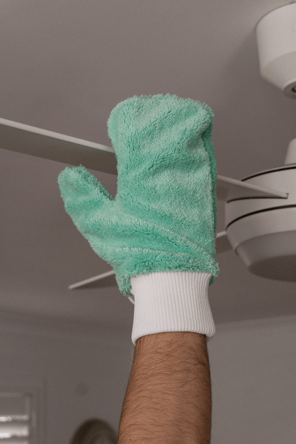 DustingGlove