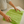 EssentialHomeCleaningKit9pc