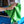 greenbuffingclothlifestyle