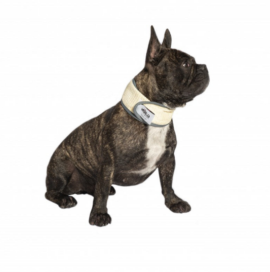 Wilko sales dog harness